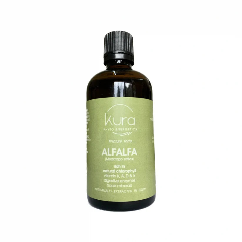 ALFALFA Tincture 100ml Dropper