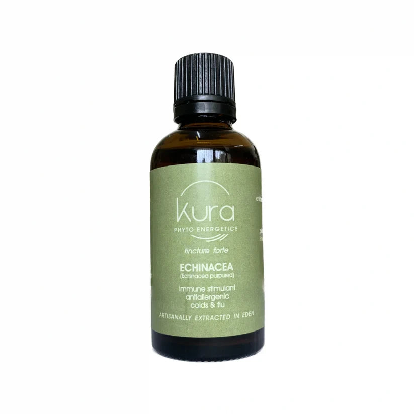 ECHINACEA Tincture 50ml Dropper
