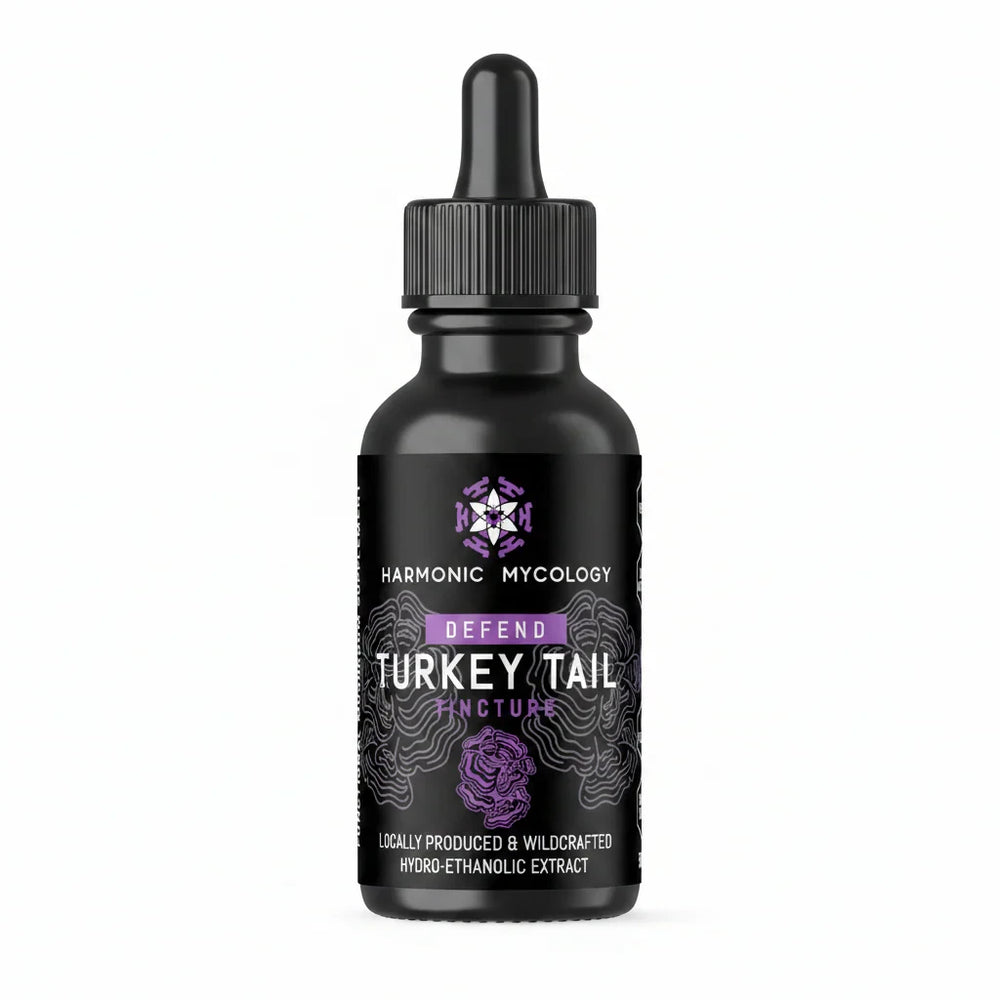 TURKEY TAIL Tincture 50ml