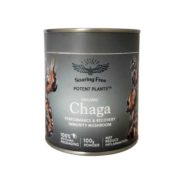 Organic CHAGA Powder 100g