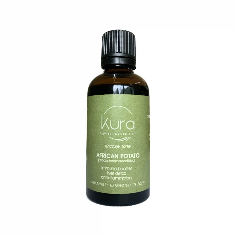AFRICAN POTATO Tincture 50ml Dropper