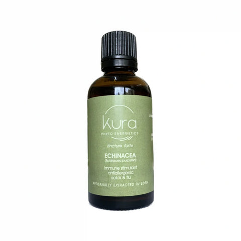 ECHINACEA Tincture 50ml Dropper