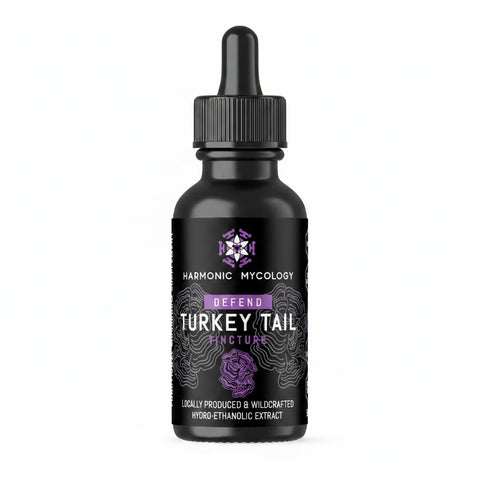 TURKEY TAIL Tincture 50ml