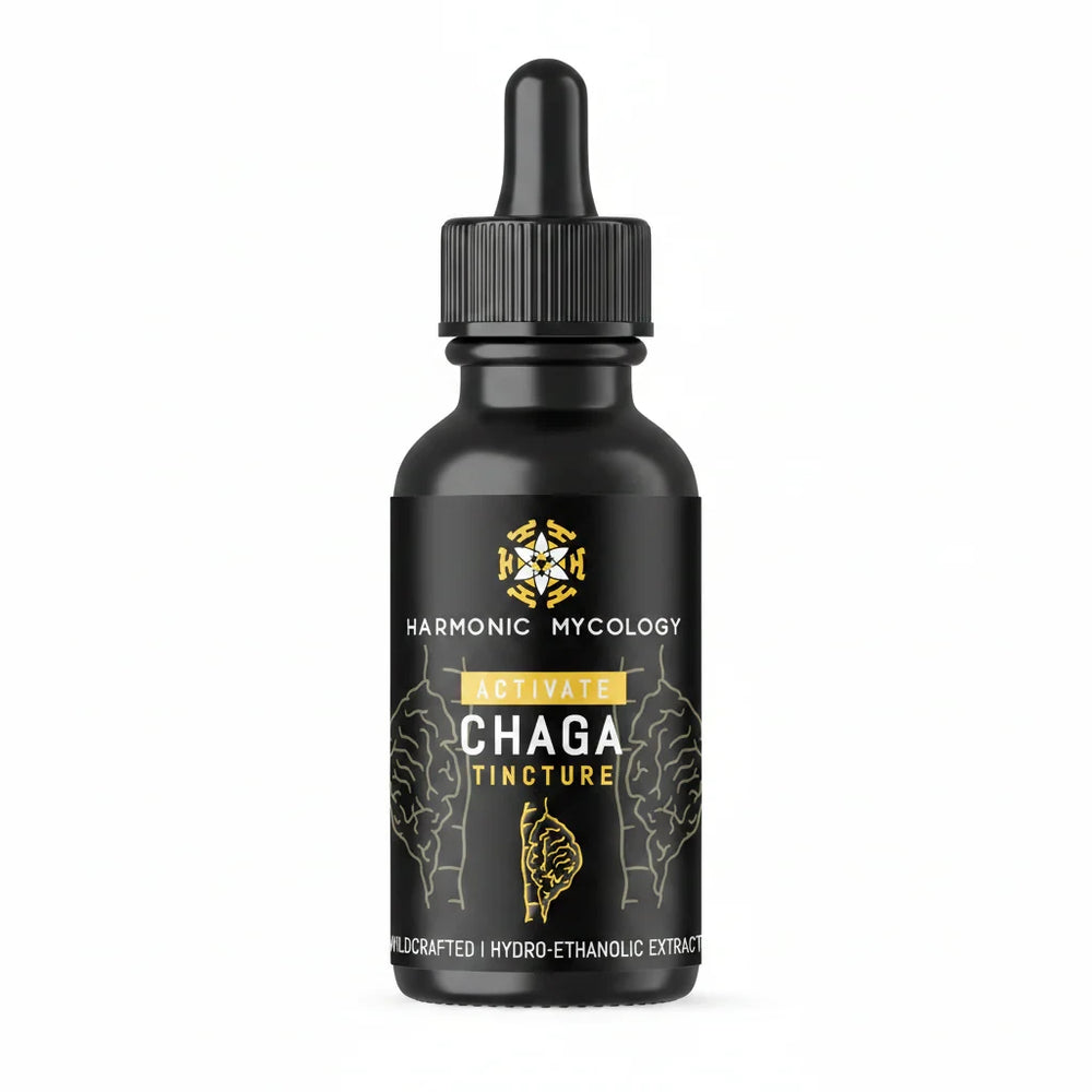 CHAGA Tincture 50ml