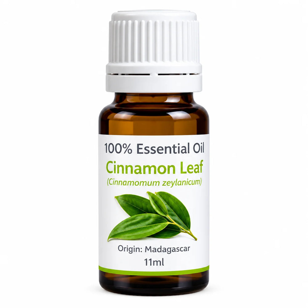Cinnamon Leaf 22ml