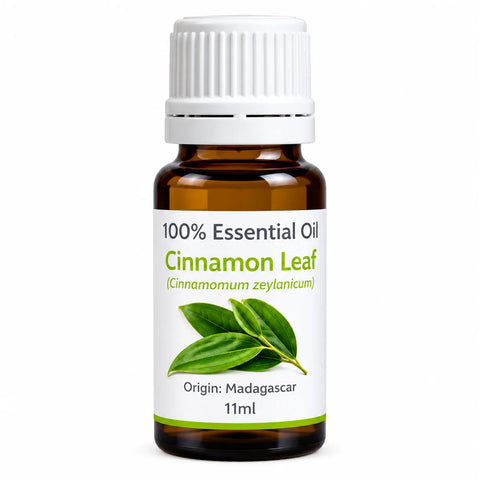Cinnamon Leaf 22ml