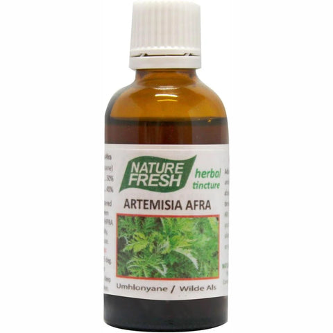 ARTEMISIA AFRA 50ml