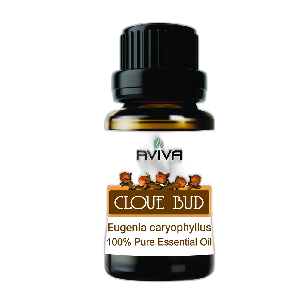 CLOVE BUD Essential Oil 10ml