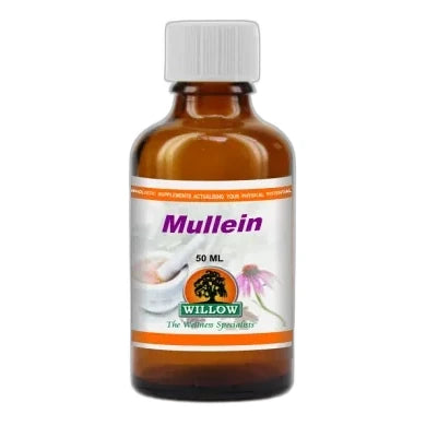 Mullein 50ml Tincture