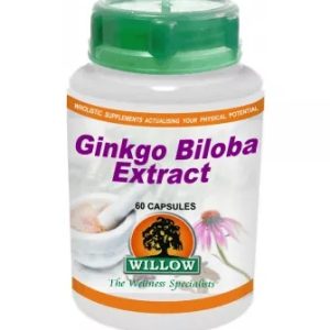 Ginkgo Biloba Extract 160mg Capsules 60s