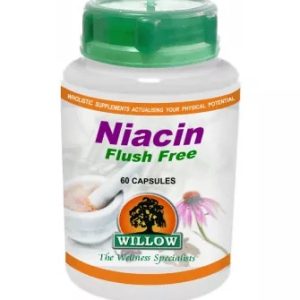 Niacin FLUSH FREE 500mg Capsules 60s