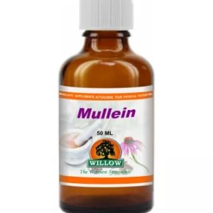 Mullein 50ml Tincture